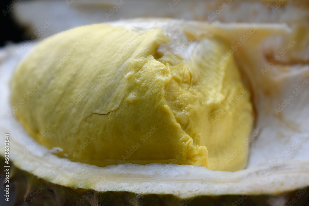 Durian fruit is a popular seasonal fruit that is sweet and delicious. Durian fruit is a popular seasonal fruit that is sweet and delicious.