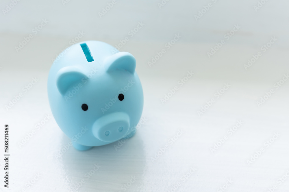 piggy bank on white background. Money saving piggy bank on white background. Money saving