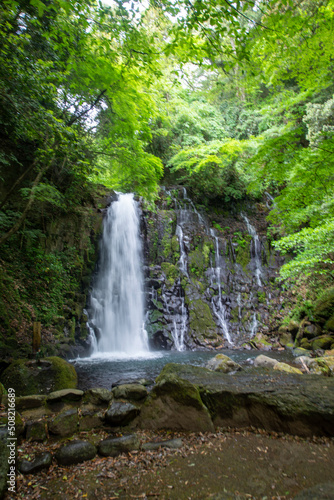 熊本県 白糸の滝