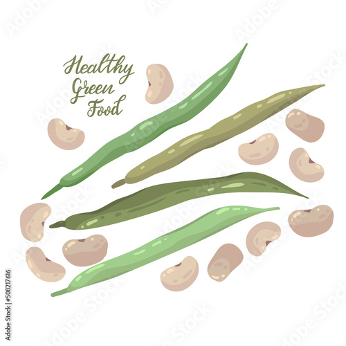 Vector illustration. Healthy green food. Green beans and white beans. Handmade, postcard, stickers