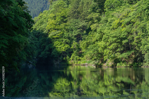 Beautiful summer season scene of  lake. green reflective forest view of Japan Asia. Water reflection nature photography. Beauty of nature concept background.