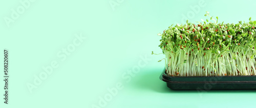 Foto Heap of alfalfa sprouts over green background