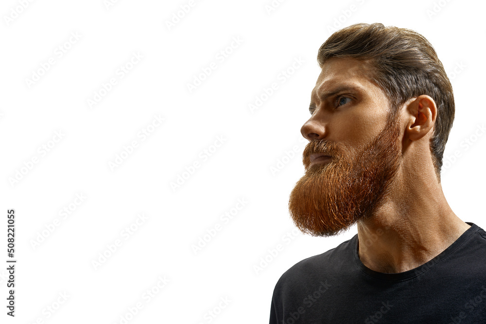 Obraz premium Close up portrat of young caucasian man isolated on white. Bearded man. Handsome confident perfect hairstyle man's profile. Young bearded man looking forward