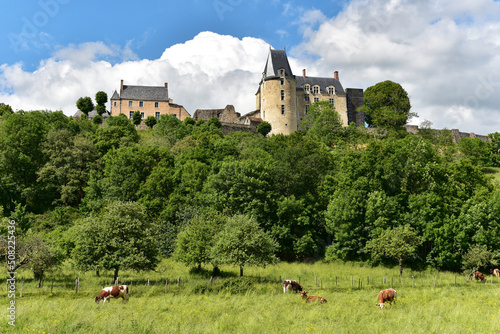 Frankreich - Saint-Suzanne - Château de Saint-Suzanne photo