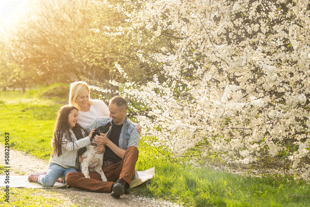 Family with daughter and dog play together in the garden in spring Family with daughter and dog play together in the garden in spring