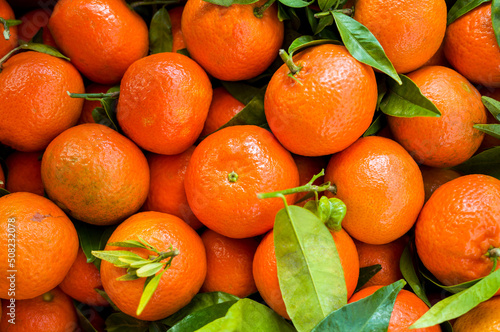 Mandarin Orange fruit
