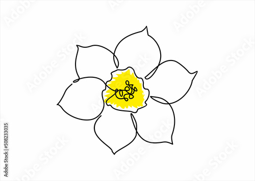 Daffodil flower in yellow color continuous line drawing. Blossoming Narcissus in spring isolated on white background. Garden flower with minimalist design in hand drawn style. Vector illustration