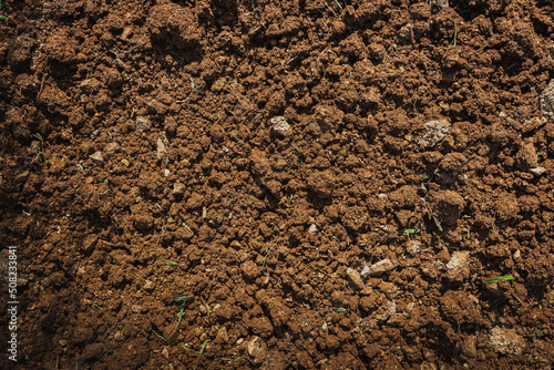 Textured fertile soil  for cultivation as background. The potting soil or peat is suitable for gardening and is one of the four natural elements.  Land is life for our planet earth. Gardening season. photo