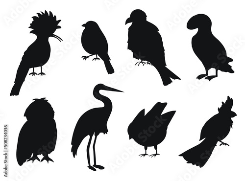 Set of birds Silhouettes premium vector template
