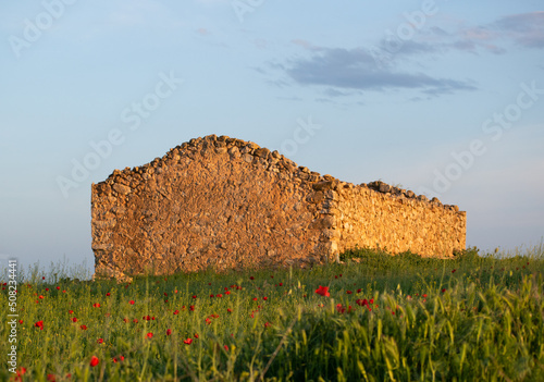  old dilapidated house in the middle of a green meadow