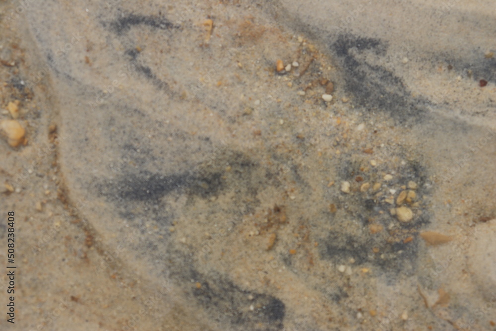 a background of fine sand and small rocks
