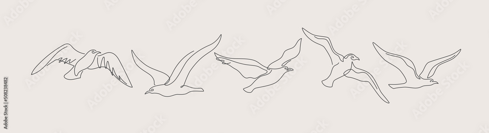 Set of linear images of flying birds. Continuous one-line drawing of a seagull. Black and white vector illustration on a light isolated background.