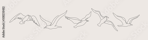 Set of linear images of flying birds. Continuous one-line drawing of a seagull. Black and white vector illustration on a light isolated background.