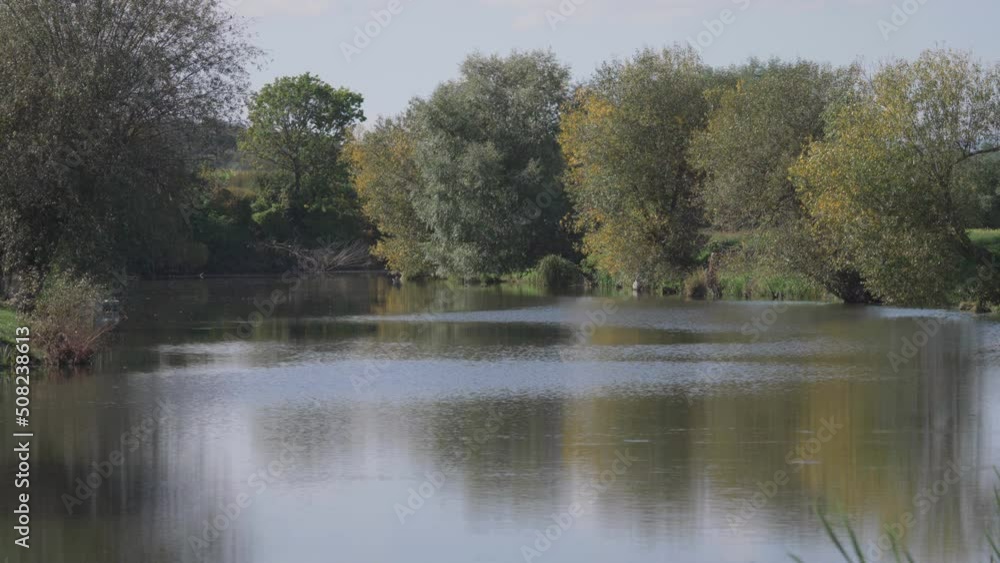 Delta landscape with willow trees mirrored in the lake water Delta landscape with willow trees mirrored in the lake water