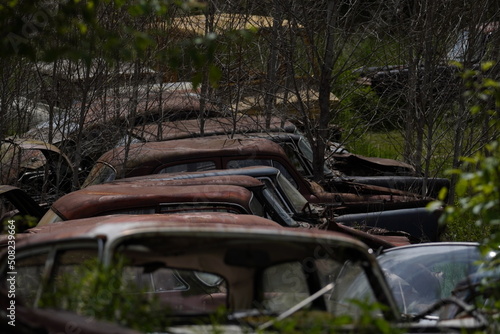 old rusty cars in a field