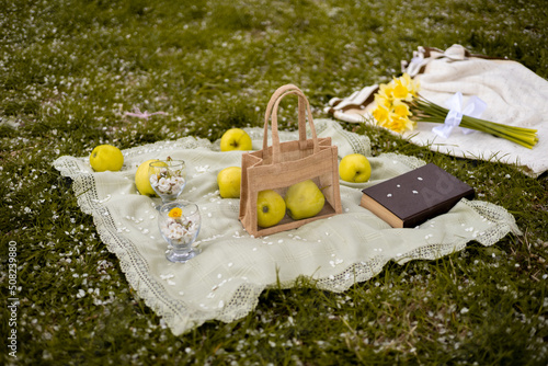 picnic in the park with a book