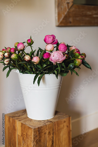 Big fresh pink and white peony blooming bouquet in a white metal bucket on a wooden table in a light bright modern beautiful apartment. Spring home decor or present idea. Vivid summer colors. © Nastassia Kudzina