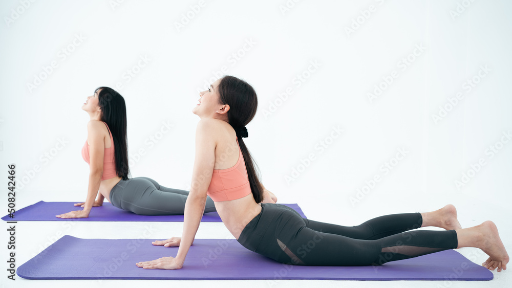 Two Young Asian woman practicing yoga, doing Cobra exercise, Bhujangasana pose, working out, wearing sportswear, black pants and top, indoor full length, gray wall in yoga studio.White room concept.
