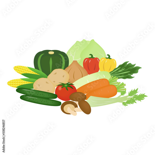 野菜集合