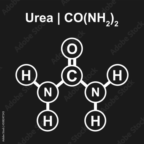 Molecular Model Of Urea (CO(NH2)2) Molecule. Vector Illustration. photo