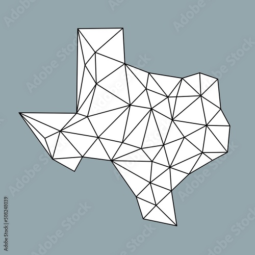 Texas state polygon map