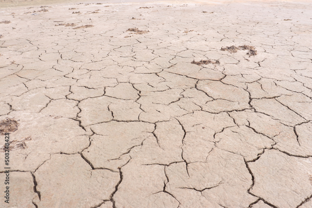 Top view of the dried up cracked soil. Drought, crop failure, global warming, climate change concept. Abstract texture background Top view of the dried up cracked soil. Drought, crop failure, global warming, climate change concept. Abstract texture background