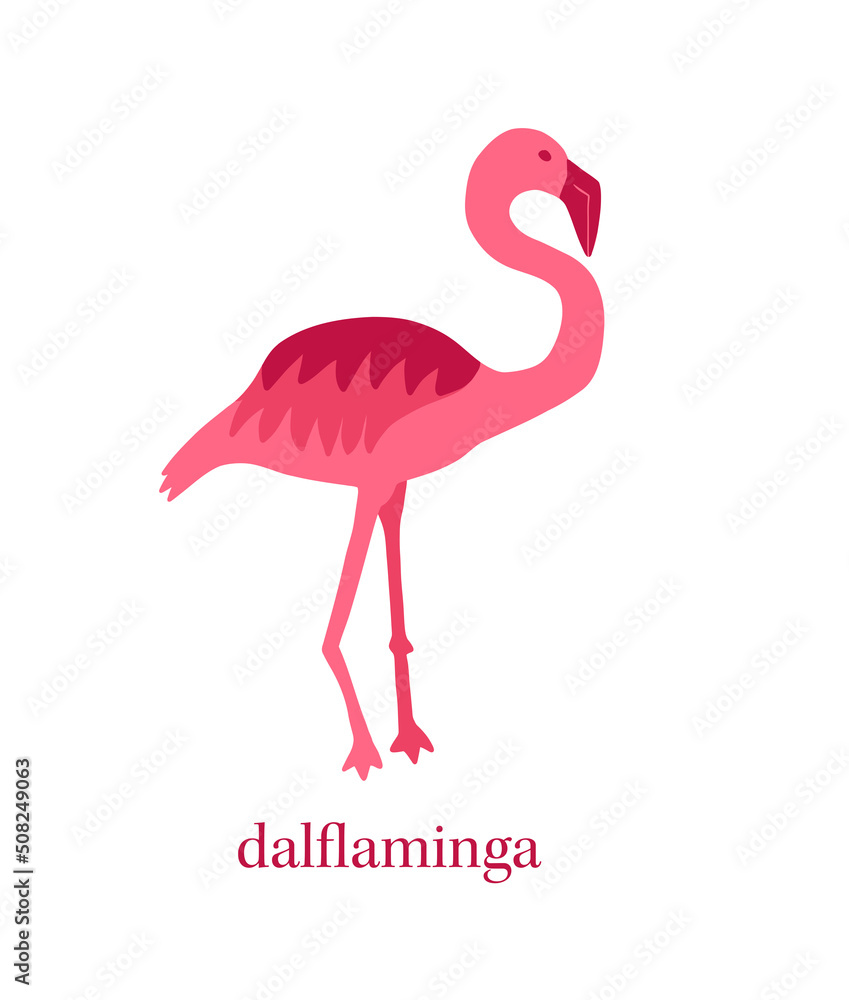 Fototapeta premium Dalflaminga