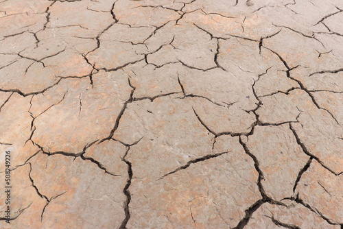 Top view of the dried up cracked soil. Drought, crop failure, global warming, climate change concept. Abstract texture background