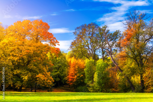 Autumn scene, fall, red and yellow trees and leaves in sun light. Beautiful autumn landscape with yellow trees and sun. Colorful foliage in the park, falling leaves natural background