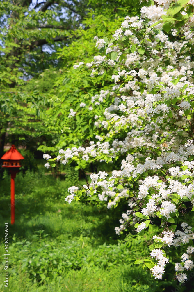 Cute red birdhouse in the beautiful park. Beautiful spring or summer day. Selective focus. Cute red birdhouse in the beautiful park. Beautiful spring or summer day. Selective focus.