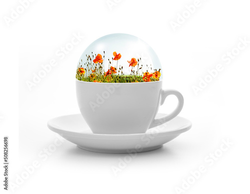 Diorama mit Mohnblumen in einer weissen Tasse