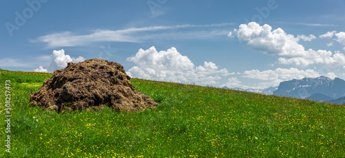 Misthaufen auf einer Bergwiese in den Alpen