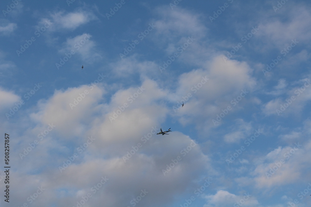 Fototapeta premium airplane in the sky