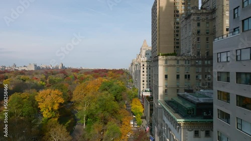 Forwards ascending fly along buildings surrounding park. Beautiful autumn colour trees in Central park. Manhattan, New York City, USA