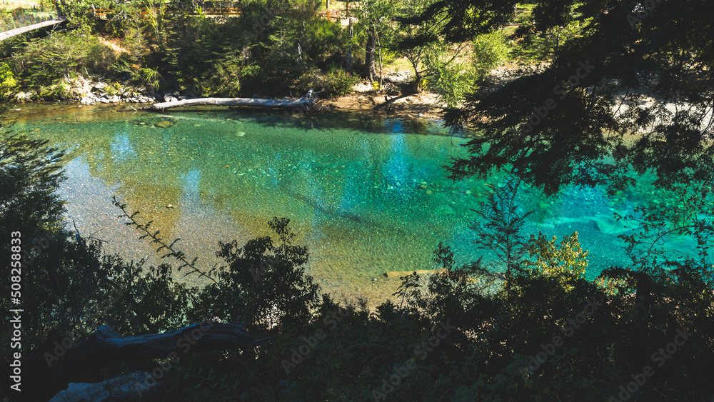 Turquoise and translucent river seen from within a forest