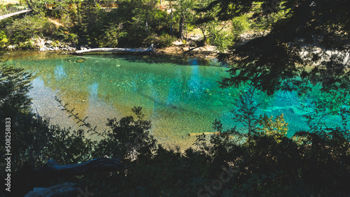 Obraz na płótnie Turquoise and translucent river seen from within a forest w salonie
