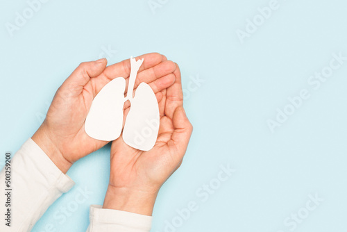 Manos femeninas sosteniendo pulmones de papel sobre un fondo celeste claro liso y aislado. Vista superior y de cerca. Copy space photo