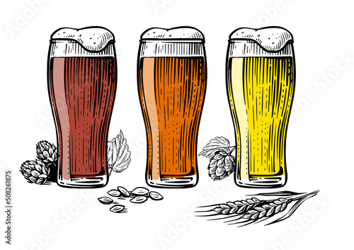 Set beer in glass mugs. Light, pilsner, wheat, lager, ale. Vector hand drawn illustration