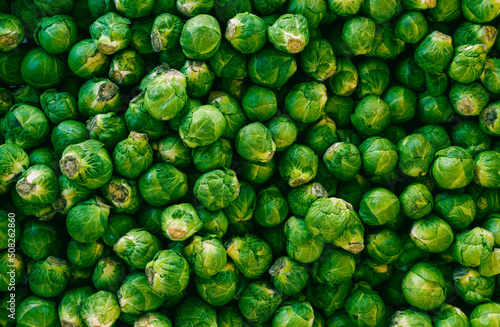 Brussels sprouts background top view, flat lay photo