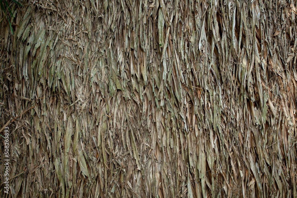 The roof wallpaper is made of leaves overlapping. The roof wallpaper is made of leaves overlapping.