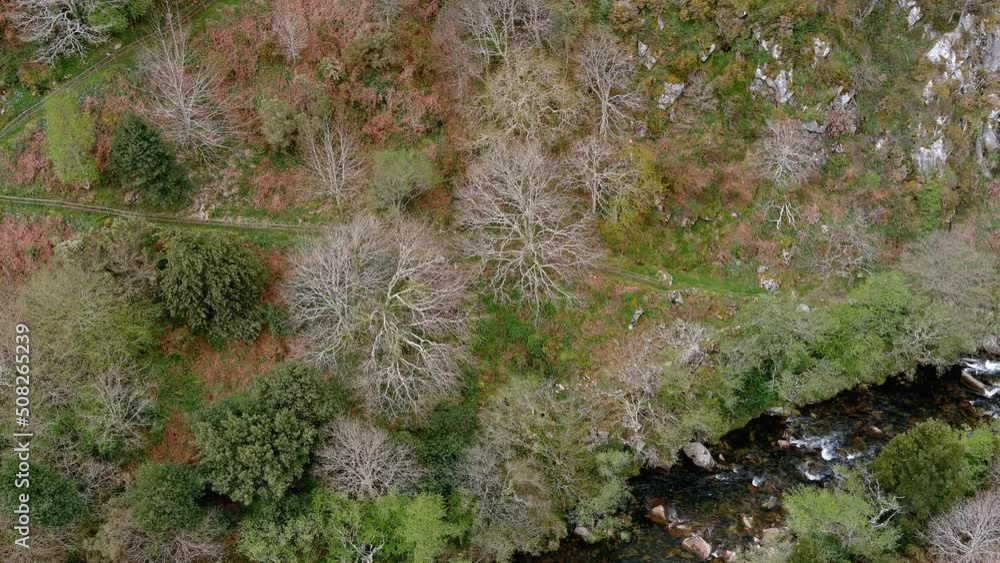 Rio Sor through a valley with forests and a mountain path in spring. Drone shot traveling laterally to the right. Mirador Aguas Caidas, Lugo, Galicia, Spain Rio Sor through a valley with forests and a mountain path in spring. Drone shot traveling laterally to the right. Mirador Aguas Caidas, Lugo, Galicia, Spain