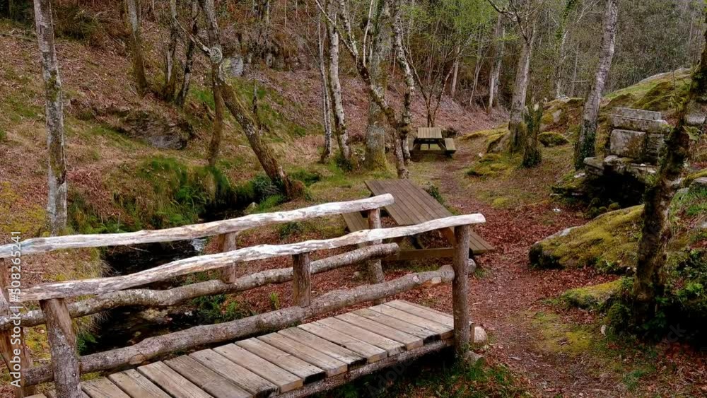 wooden bridge in the stream of the viewpoint with wooden tables in the shade of fresh oaks, quiet. Drone shot traveling forward. Mirador Aguas Caidas, Manón, Lugo, Galicia wooden bridge in the stream of the viewpoint with wooden tables in the shade of fresh oaks, quiet. Drone shot traveling forward. Mirador Aguas Caidas, Manón, Lugo, Galicia
