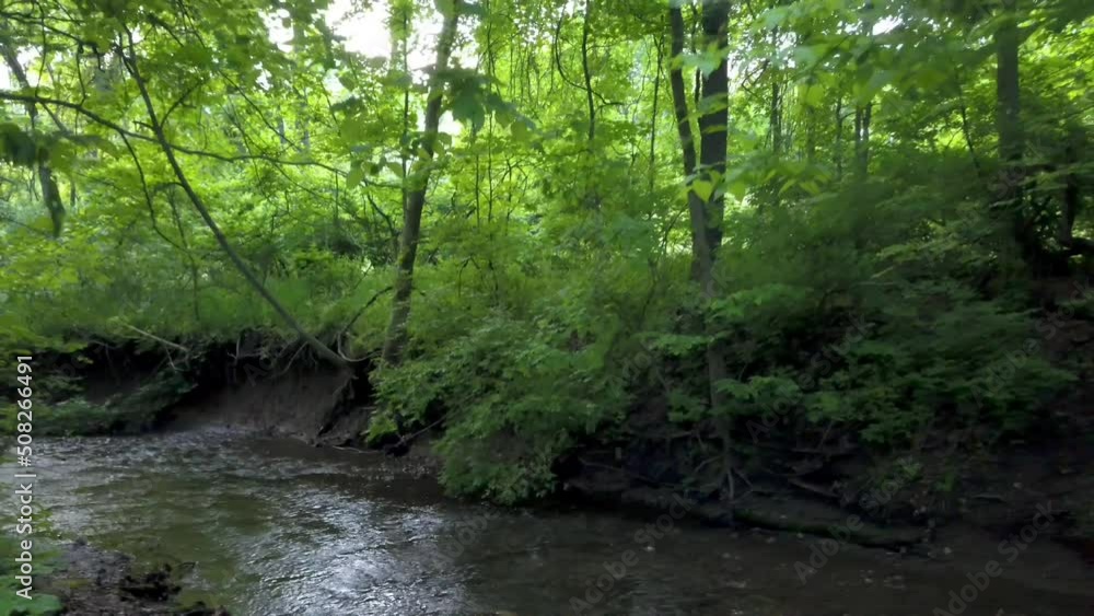 Dense woods in Ohio of flowing water in river and dark green trees. Aerial shot. Dense woods in Ohio of flowing water in river and dark green trees. Aerial shot.