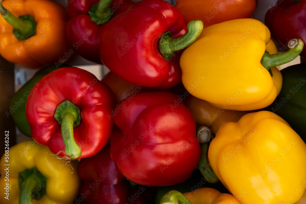Selection of bell peppers Selection of bell peppers