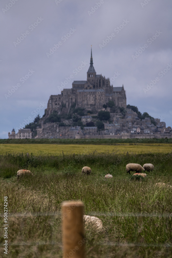 normandie mont saint michel normand rouen champs blé vélo paysage industriel voiture nature animaux pétanque boule
