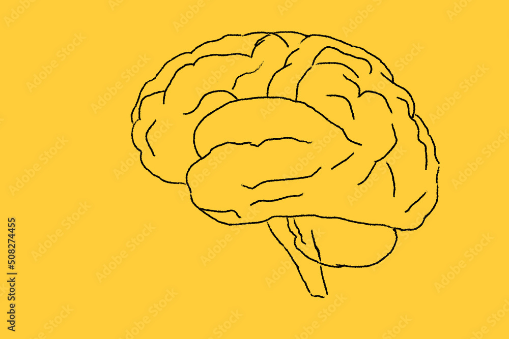 Human Brain drawing on yellow background Human Brain drawing on yellow background