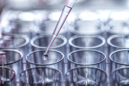 Pharmaceutical Research, Pipetting sample into a multi well plate photo