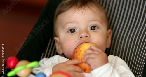 Cute baby eating healthy snack, infant child eats piece apple