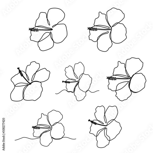 Exotic hibiscus flower in one line drawing