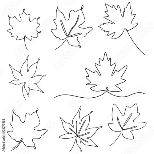 set of continuous one line illustration of maple autumn tree leaf